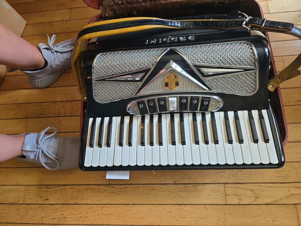 Vintage Accordion A - image 1 of 6