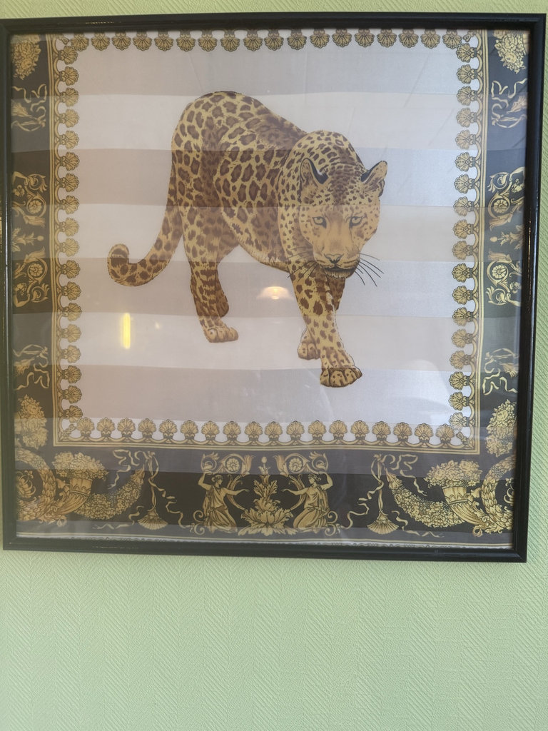 Leopard print framed artwork  - image 1 of 3