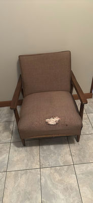 Mid Century Modern Upholstered Armchair - Image 1 of 2