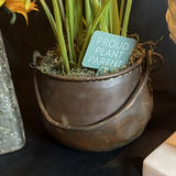 Lot of Three Faux Plants and Planters  - thumbnail 5 of 7