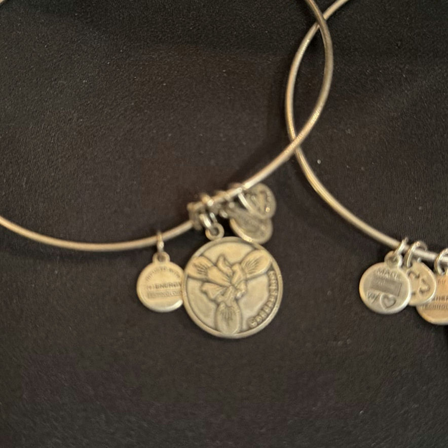 Two Alex and Ani Bracelets - image 3 of 3