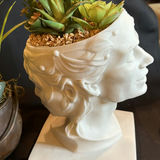 Lot of Three Faux Plants and Planters  - thumbnail 2 of 7