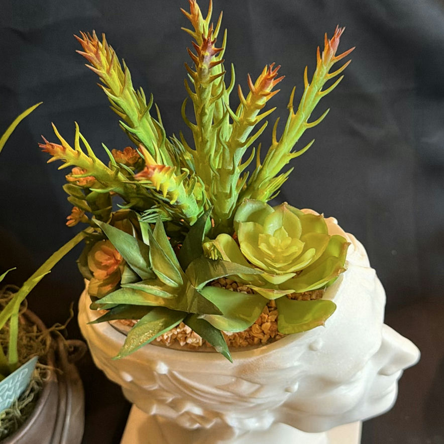 Lot of Three Faux Plants and Planters - image 3 of 7
