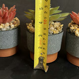 Three Faux Succulents in Mini Pots - thumbnail 2 of 2