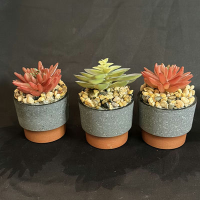 Three Faux Succulents in Mini Pots - Image 1 of 2