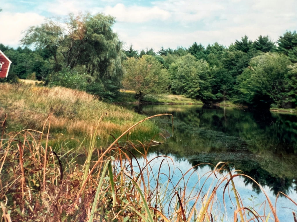 Serenity landscape photograph by Louise McGee 14" x 11" - image 3 of 4