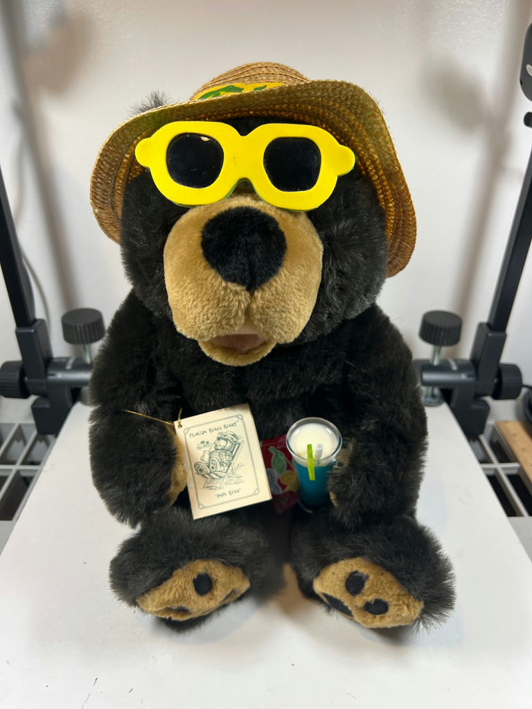 Florida Beach Bears plush bear with hat, sunglasses, and floral scarf - image 1 of 3