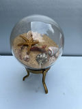 Glass globe sand display with seashells and starfish on brass stand - thumbnail 1 of 4