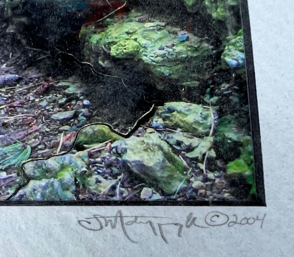 Scott Matyjaszek ARTEPHAX PHOTOGRAPHIC Moss-covered rock archway with path - image 3 of 4