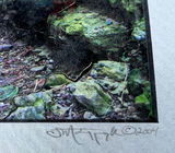Scott Matyjaszek ARTEPHAX PHOTOGRAPHIC Moss-covered rock archway with path - thumbnail 3 of 4