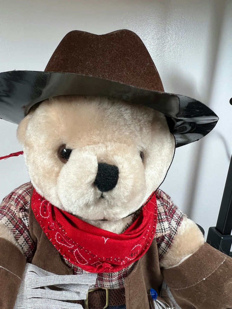 Cowboy Plush Bear - 12" Tall - image 2 of 3