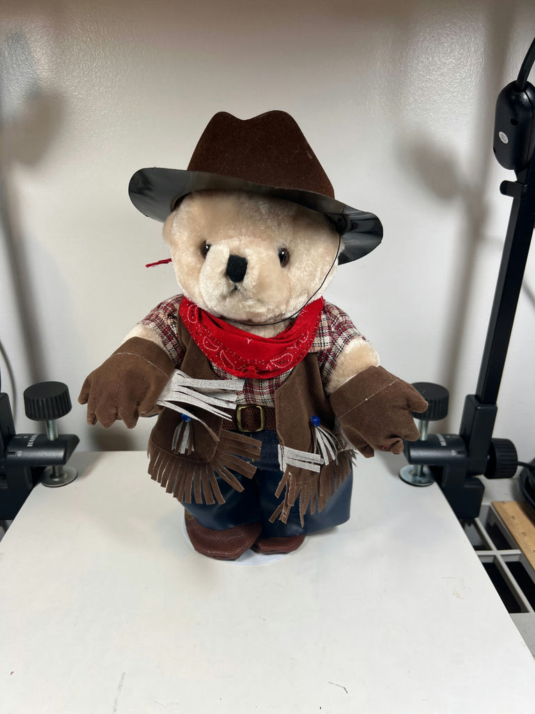 Cowboy Plush Bear - 12" Tall - image 1 of 3