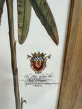 Pair of Palm Tree Art Prints in Wooden Frames - thumbnail 3 of 3