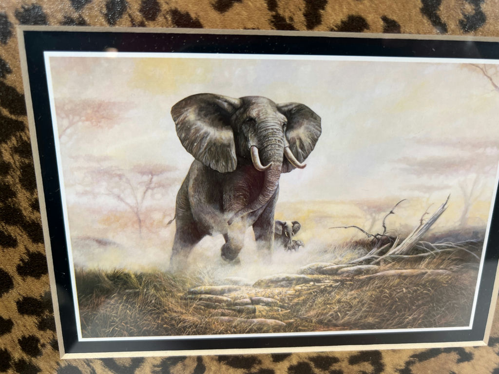 Regal Safari II Elephant and Zebra wildlife prints - image 2 of 5