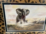 Regal Safari II Elephant and Zebra wildlife prints - thumbnail 2 of 5