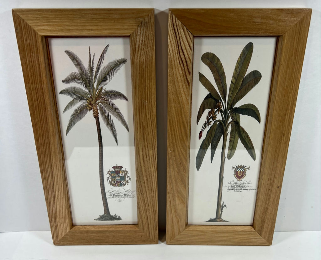 Pair of Palm Tree Art Prints in Wooden Frames - image 1 of 3