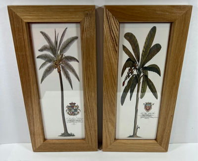 Pair of Palm Tree Art Prints in Wooden Frames - Image 1 of 3