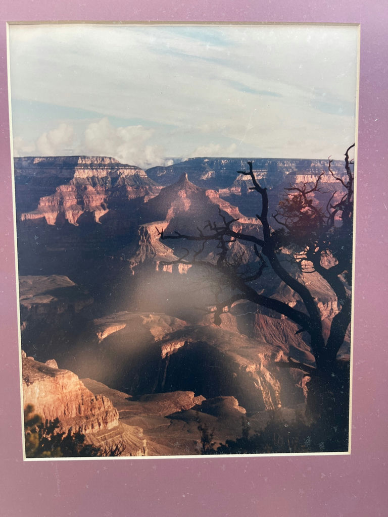 Framed Canyon Landscape Photograph 21-1/2 x 17-1/2 - image 2 of 3