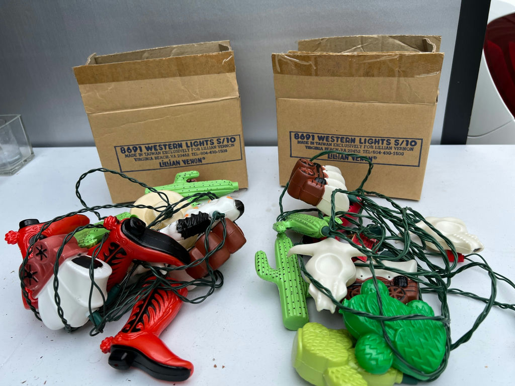 Southwestern-themed novelty string lights - image 1 of 3