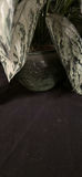Artificial Potted Plant and Woven Bamboo Trays - thumbnail 3 of 8