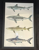 Shark Wall Art Set - thumbnail 3 of 4