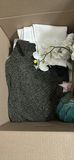 Mixed Household Items and Clothing - thumbnail 2 of 4