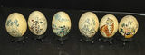 Set of Hand-Painted Decorative Eggs with Display Stands - thumbnail 1 of 7