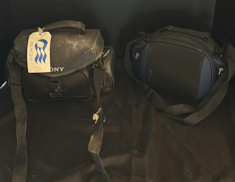 Sony Handycam Camcorder, Kodak EasyShare Camera, and Carrying Cases - image 1 of 14