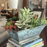 Gardening Books with Succulent Planter - thumbnail 5 of 6