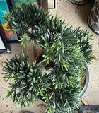 Artificial Pine Tree and Artificial Japanese-style Bonsai Tree - thumbnail 4 of 4