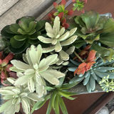 Gardening Books with Succulent Planter - thumbnail 6 of 6