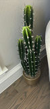 Decorative Indoor Plants, Vase Arrangement, and Candlestick - thumbnail 4 of 4