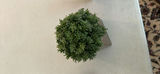 Table Lamp and Two Potted Artificial Plants - thumbnail 4 of 5
