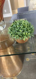 Decorative Potted Plants and Green Topiary Spheres - thumbnail 6 of 6