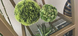 Decorative Potted Plants and Green Topiary Spheres - thumbnail 3 of 6
