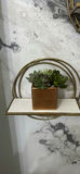 Decorative Wall Shelves with Potted Succulents - thumbnail 3 of 8