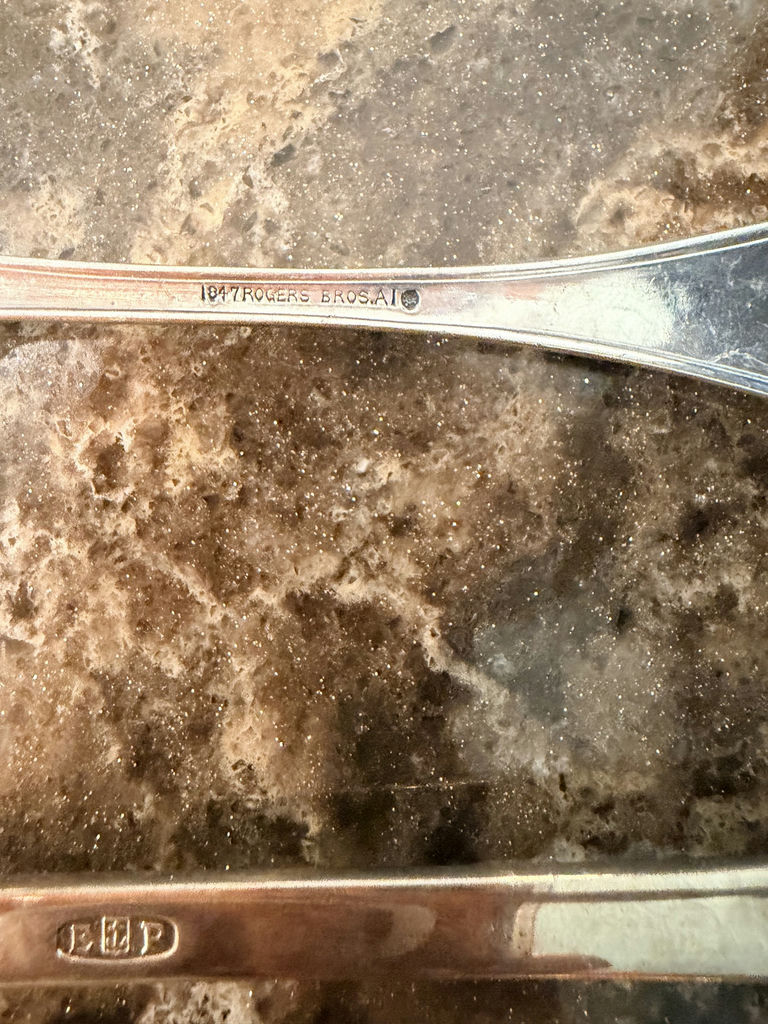 Vintage silver-plated flatware with wooden-handled utensils - image 3 of 5