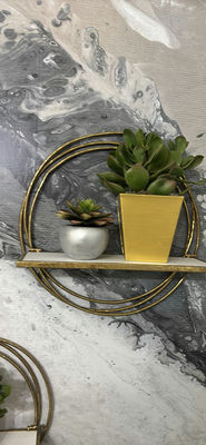 Decorative Wall Shelves with Potted Succulents - Image 1 of 8