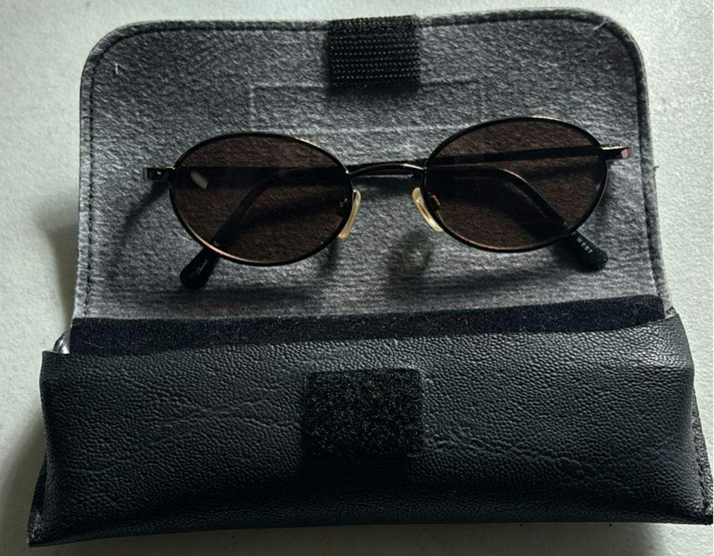 Serengeti Sunglasses Case with Sunglasses and Chloé Sunglasses Set - image 2 of 6