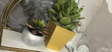 Decorative Wall Shelves with Potted Succulents - thumbnail 2 of 8