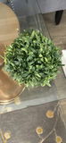Decorative Potted Plants and Green Topiary Spheres - thumbnail 5 of 6