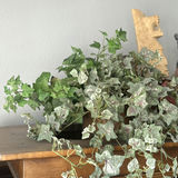 Decorative Potted Plants and Floral Vase - thumbnail 3 of 4