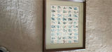 Framed Wildlife Stamp Display - thumbnail 3 of 3