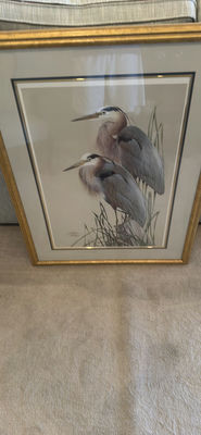 Framed Bird Artwork - Image 1 of 1