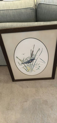 Framed Bird Artwork - Image 1 of 1
