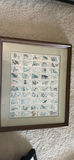 Framed Wildlife Stamp Display - thumbnail 2 of 3