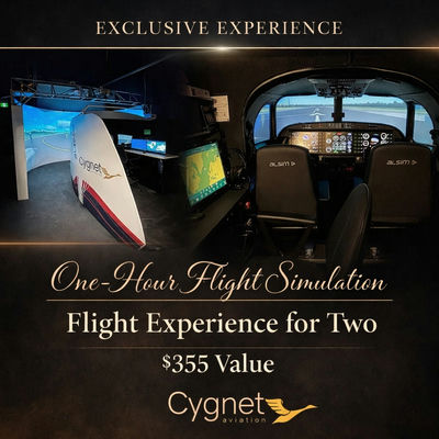 One-Hour Flight Simulation Flight Experience for Two ($355 Value) - Image 1 of 3