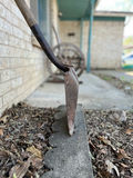 Antique shovels and pitch forks - thumbnail 10 of 22