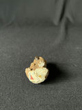 Koala Figurines Collection - thumbnail 4 of 17