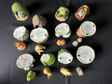 Vintage Franklin Mint "Woodland Surprises" full set of 12 animal figurines - thumbnail 6 of 9